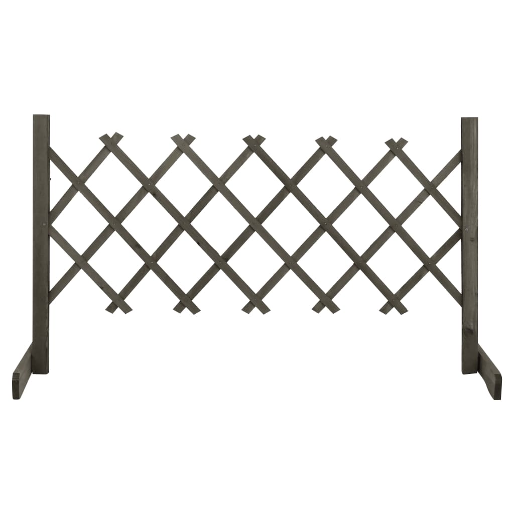 Vedação em treliça para jardim 120x60 cm abeto maciço cinzento