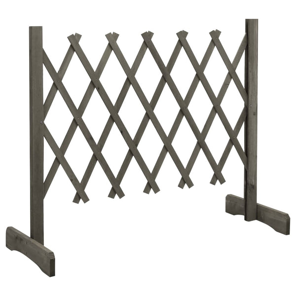 Vedação em treliça para jardim 120x60 cm abeto maciço cinzento