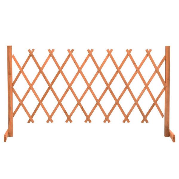Vedação em treliça para jardim 150x80 cm abeto maciço laranja