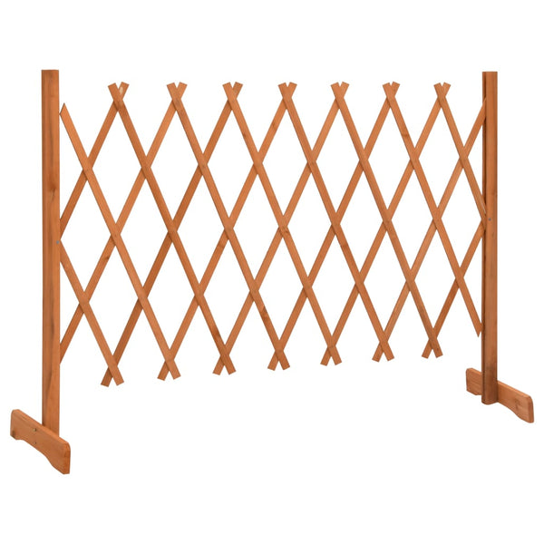 Vedação em treliça para jardim 150x80 cm abeto maciço laranja