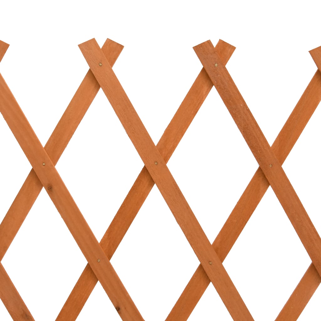 Vedação em treliça para jardim 150x80 cm abeto maciço laranja