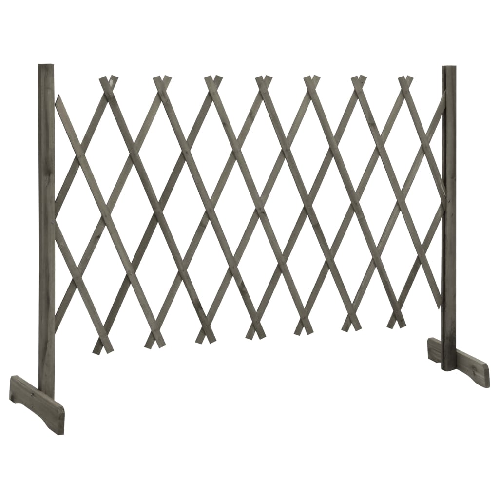 Vedação em treliça para jardim 150x80 cm abeto maciço cinzento