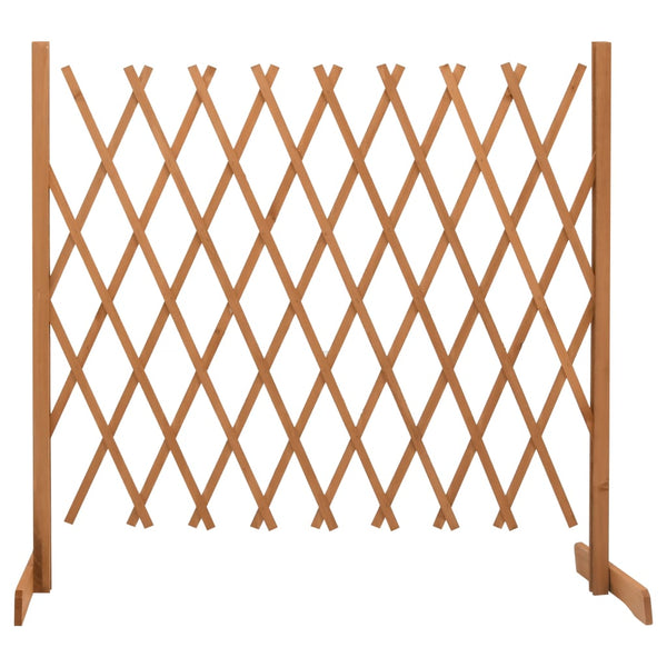 Vedação em treliça para jardim 180x100 cm abeto maciço laranja