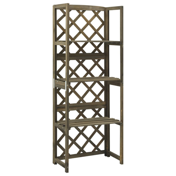 Treliça com prateleiras 55x30x140 cm abeto maciço cinzento
