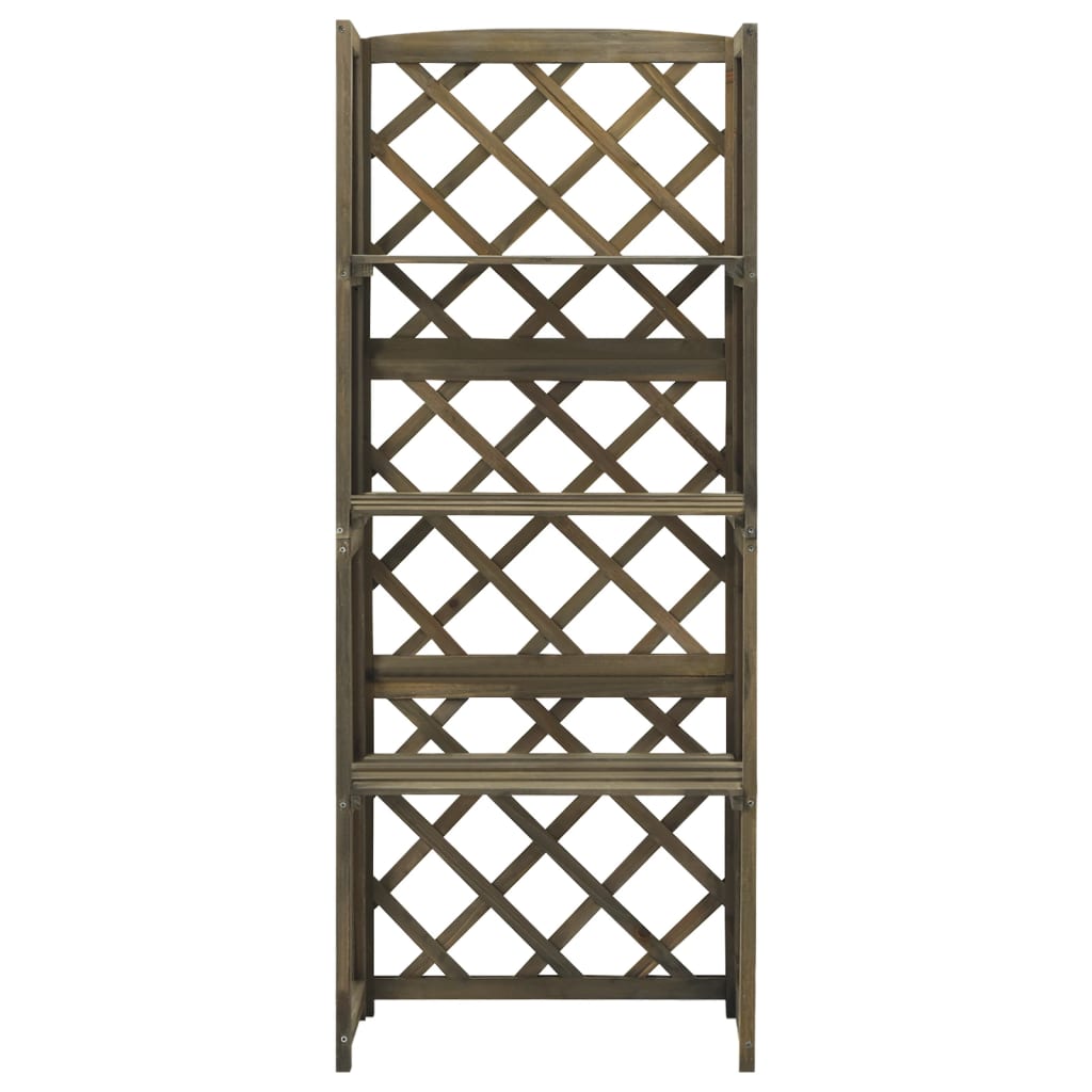 Treliça com prateleiras 55x30x140 cm abeto maciço cinzento