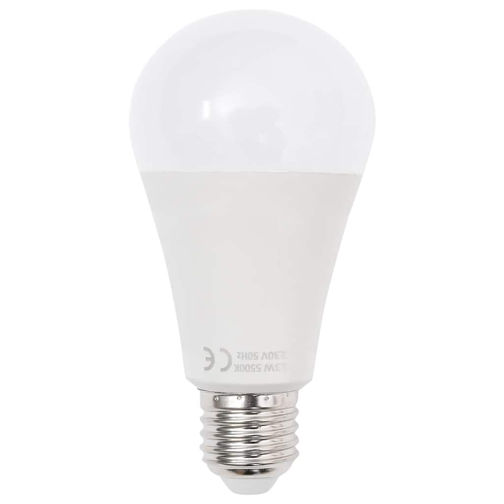 Kit de iluminação para estúdio com fundos e sombrinhas