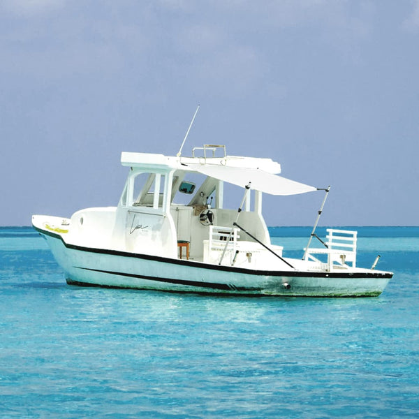 Extensão de toldo em T 170x208x(115-183) cm branco