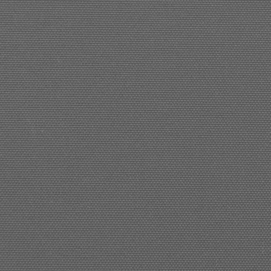Toldo lateral retrátil 180x300 cm antracite
