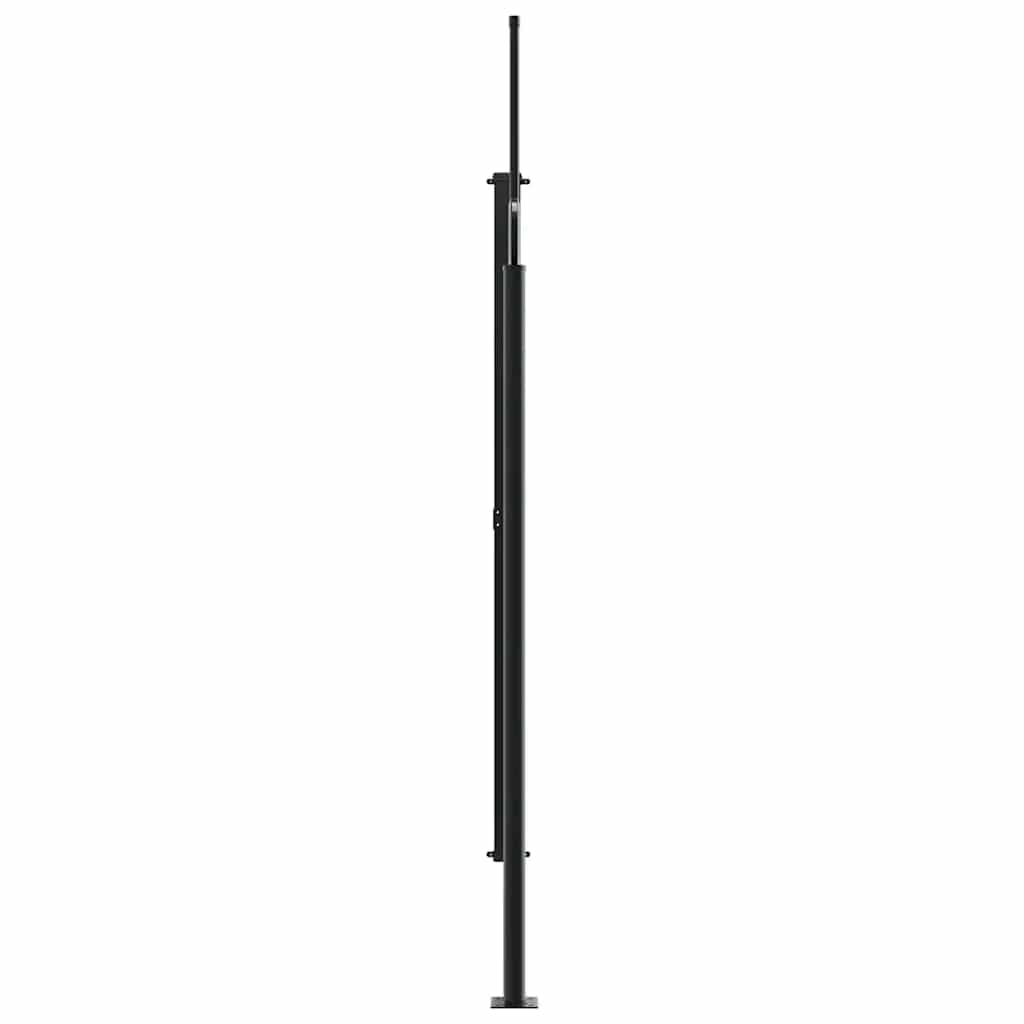 Toldo lateral retrátil 220x300 cm antracite