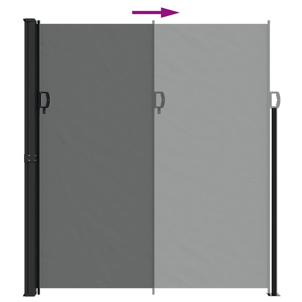 Toldo lateral retrátil 220x300 cm antracite
