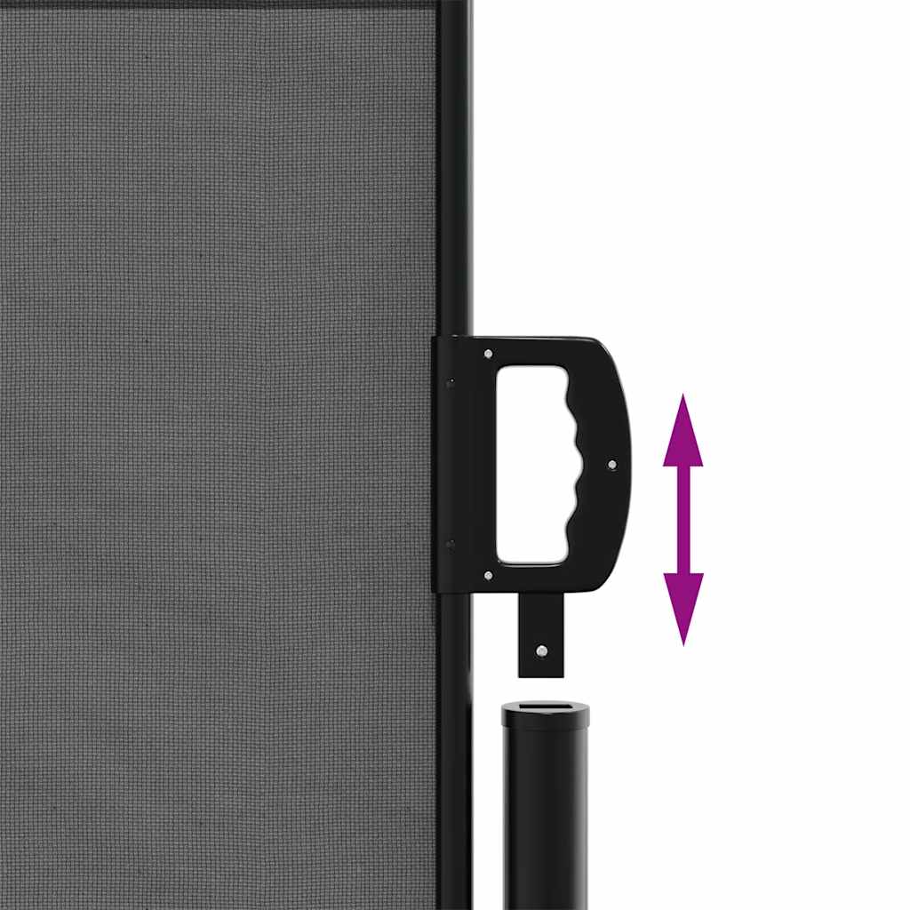 Toldo lateral retrátil 120x500 cm antracite