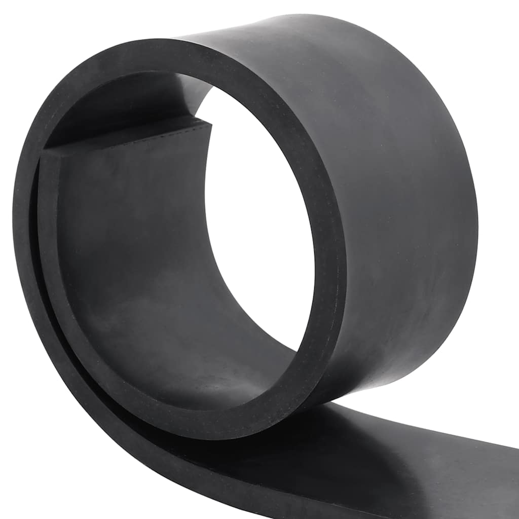 Borda de borracha para limpa-neves 120x10x1 cm preto