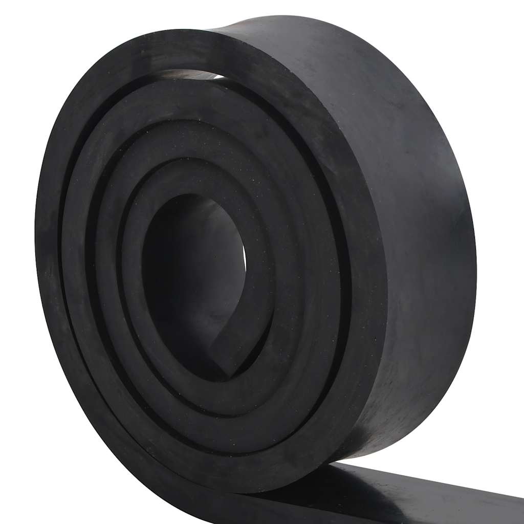Borda de borracha para limpa-neves 250x8x2 cm preto