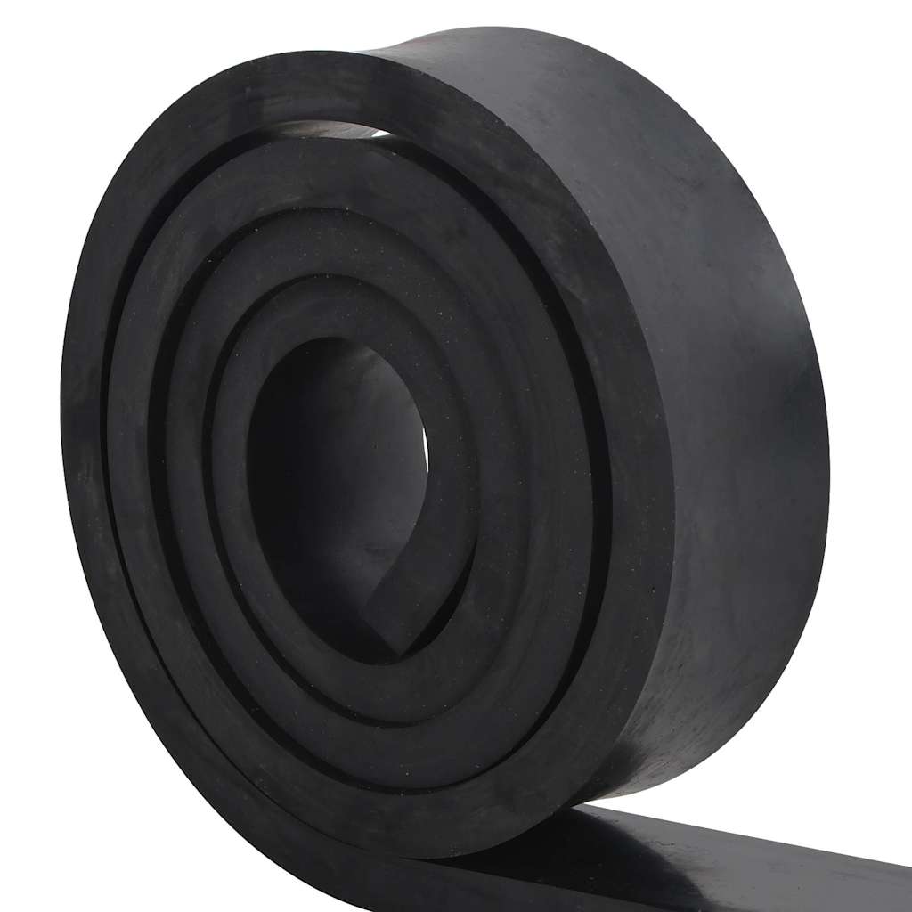 Borda de borracha para limpa-neves 250x10x2 cm preto