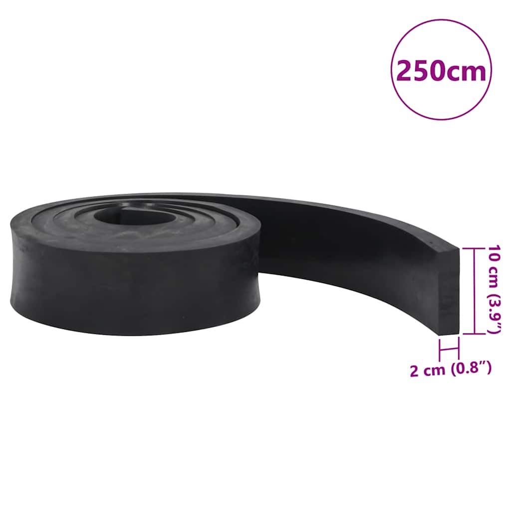 Borda de borracha para limpa-neves 250x10x2 cm preto