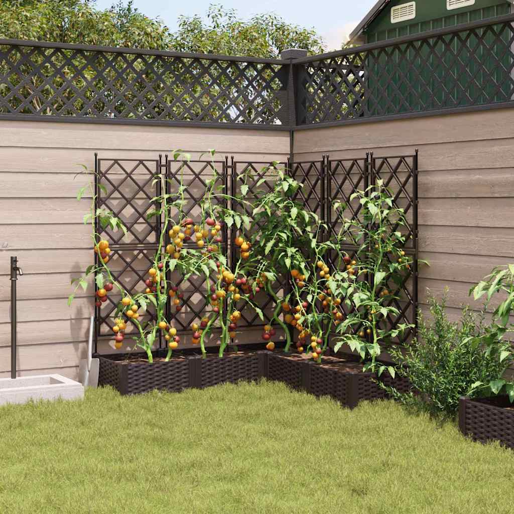 Jardineira com Treliça 5 pcs Castanho 120 x 120 x 125.5 cm PP
