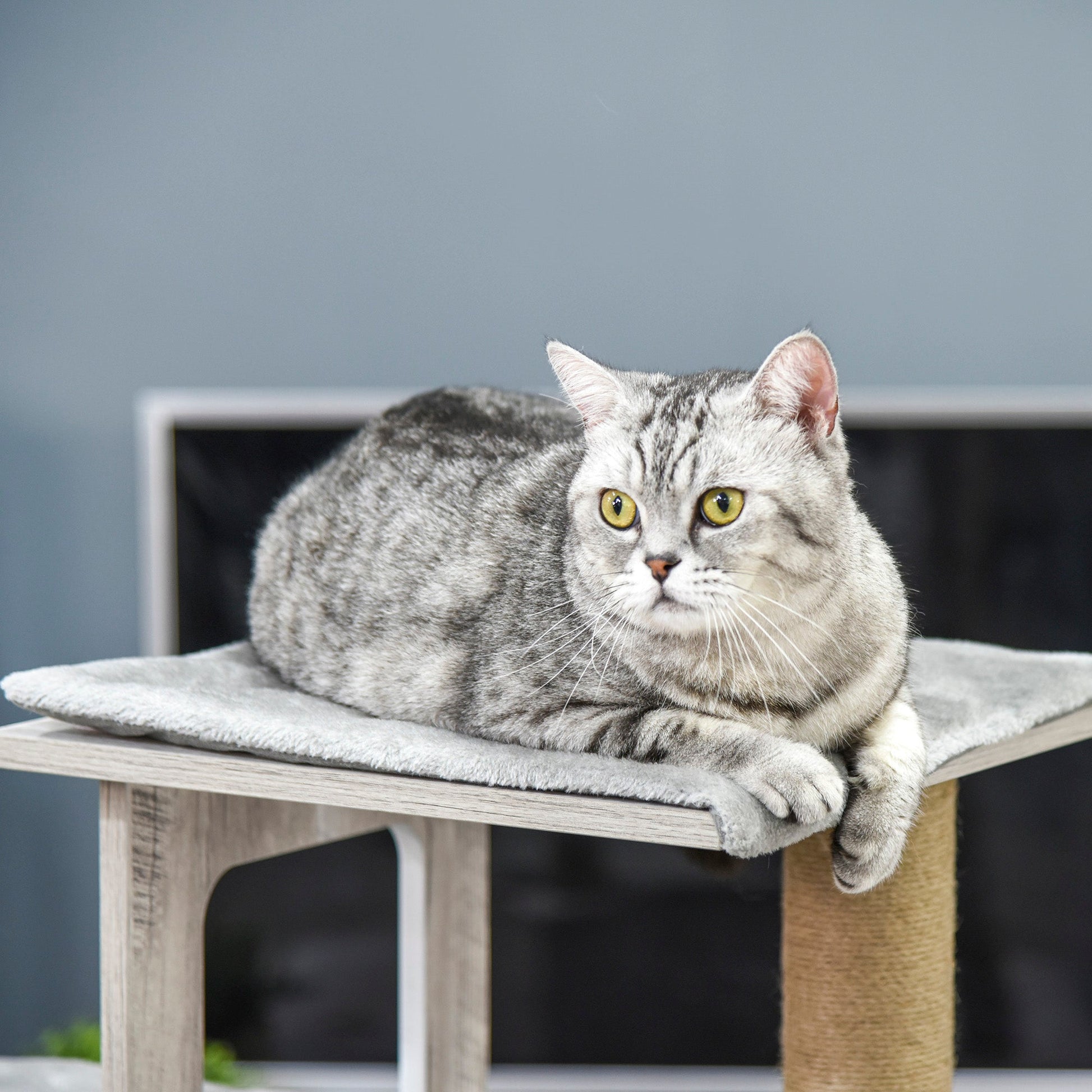 PawHut Árvore Arranhador para Gatos Arranhador de Gatos com Caverna Múltiplas Plataformas e Postes de Arranhar de Juta Brincadeira e Descanso 67x38,5x114cm Cinza