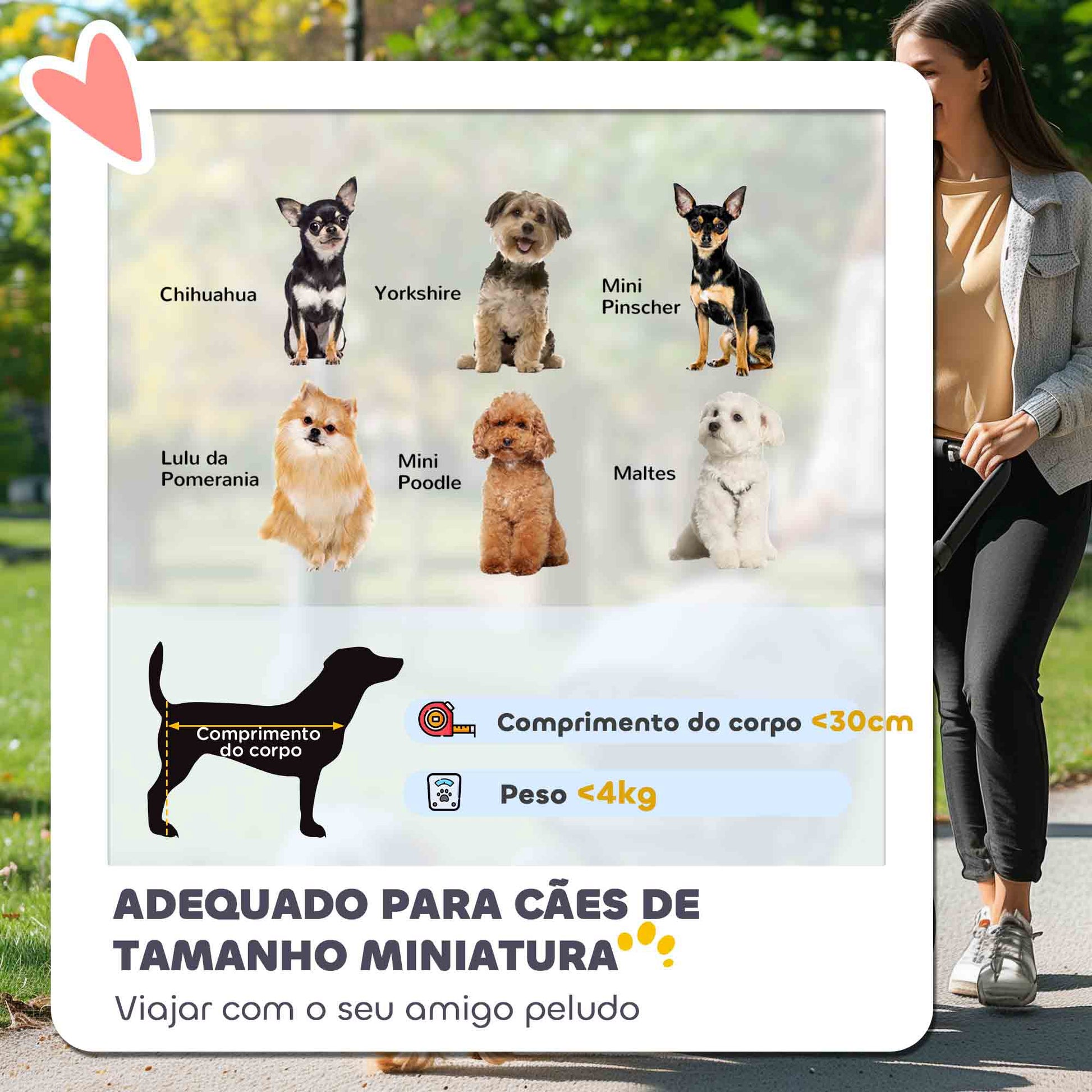 PawHut Carrinho para Cães Pequenos com Estrutura Compacta Carrinho Dobrável com Colchão Lavável Suporte para Copos Janelas de Rede e Bolsa de Arrumação 76x44x103 cm Creme