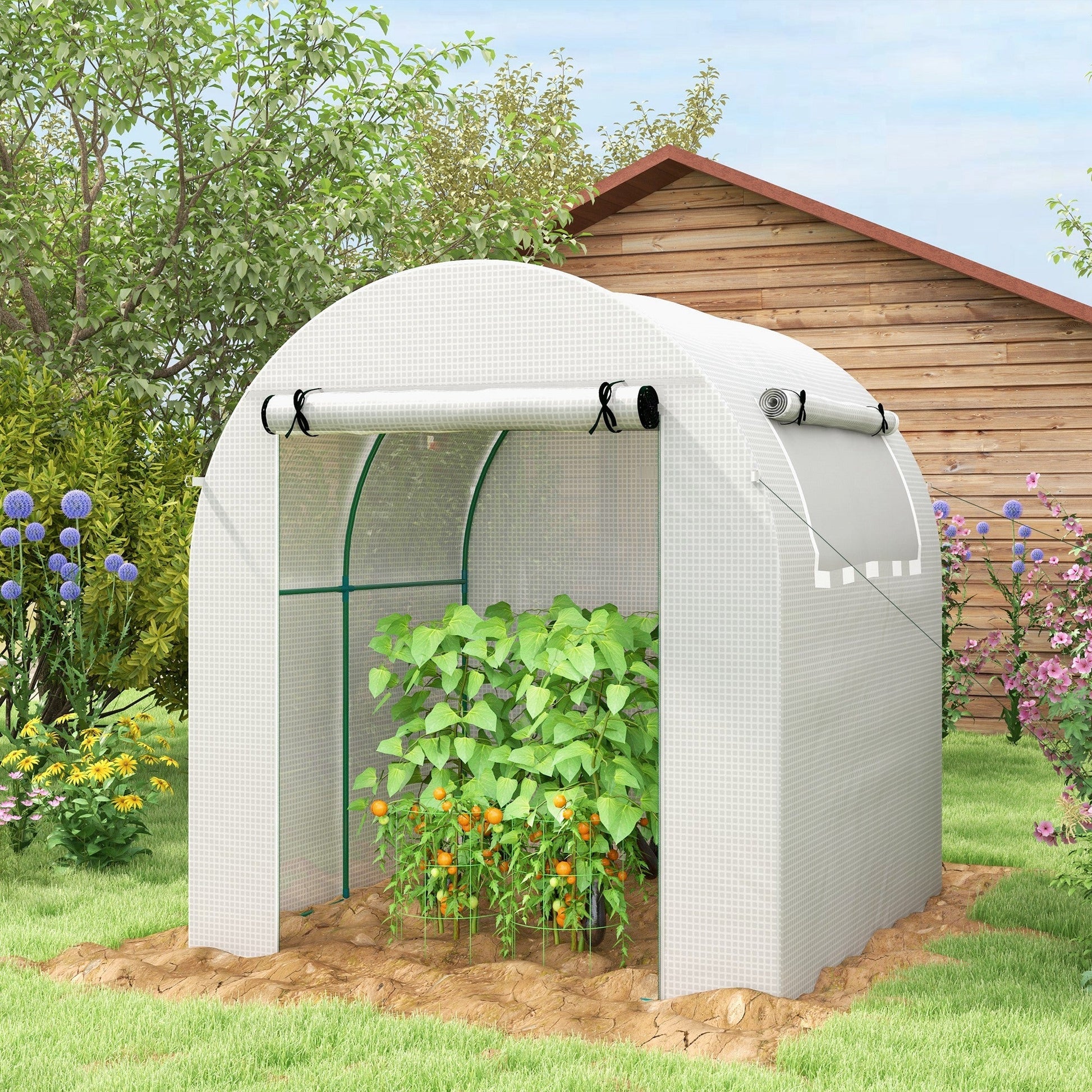 Estufa de Jardim Tipo Túnel – 180x180x200 cm – Porta Enrolável, Janela de Malha e Proteção UV - A minha loja