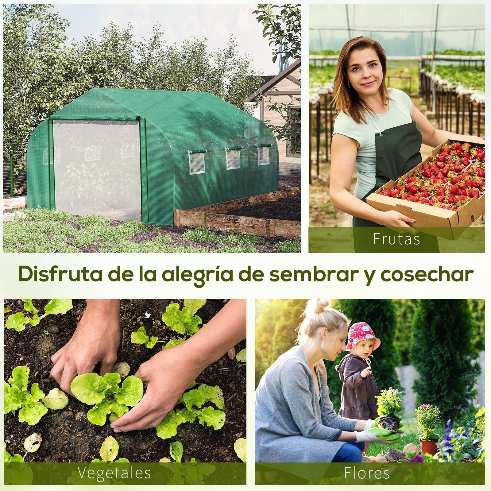 Estufa de Túnel 3,5x3x2m Estufa de Jardim com Porta e 6 Janelas Enroláveis de Polietileno Metal Galvanizado para Cultivos de Plantas Flores Verde - A minha loja