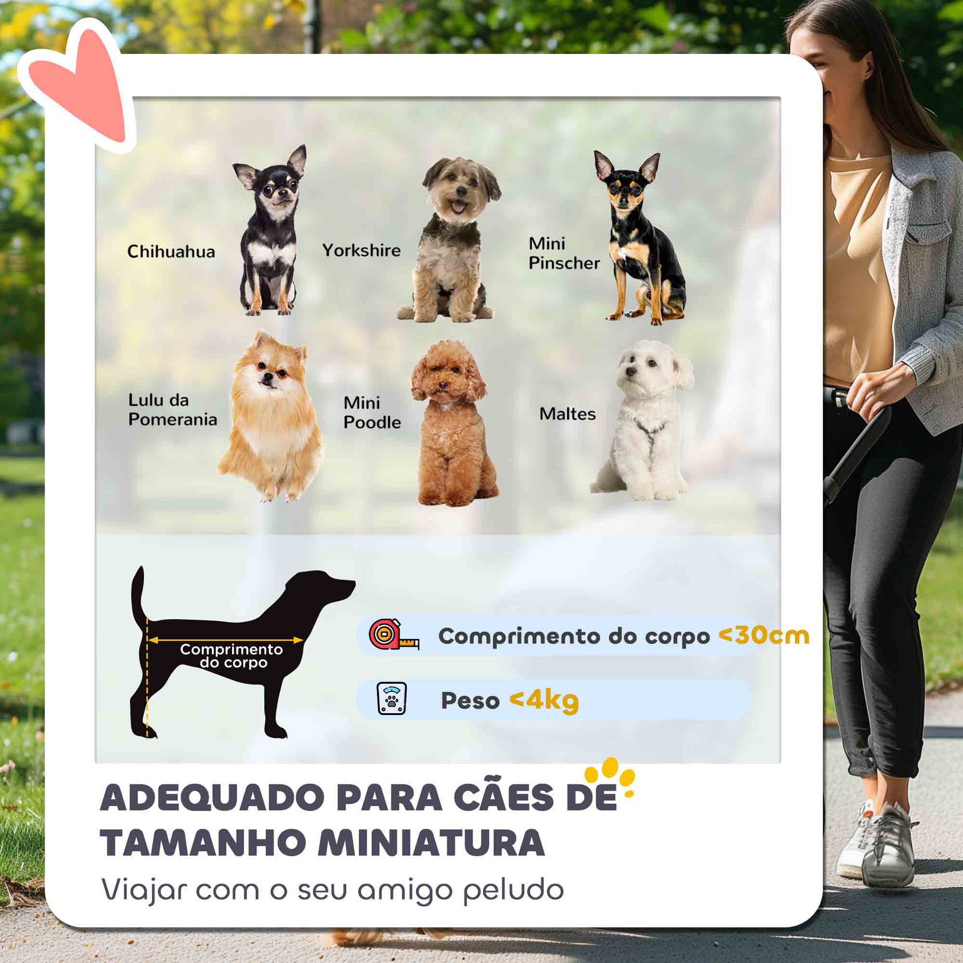 PawHut Carrinho para Cães Pequenos com Estrutura Compacta Carrinho Dobrável com Colchão Lavável Suporte para Copos Janelas de Rede e Bolsa de Arrumação 76x44x103 cm Azul