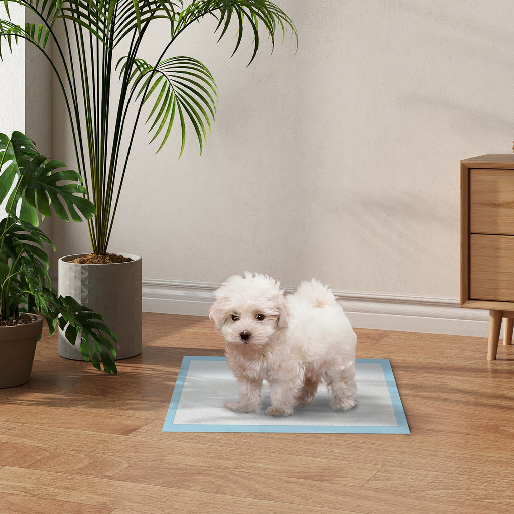 PawHut Resguardos de Treino Animais de Estimação 100 Unidades 45x30 cm Resguardos Absorventes para Cães Desenho com 6 Camadas com Superfície de Secagem Rápida Azul - A minha loja