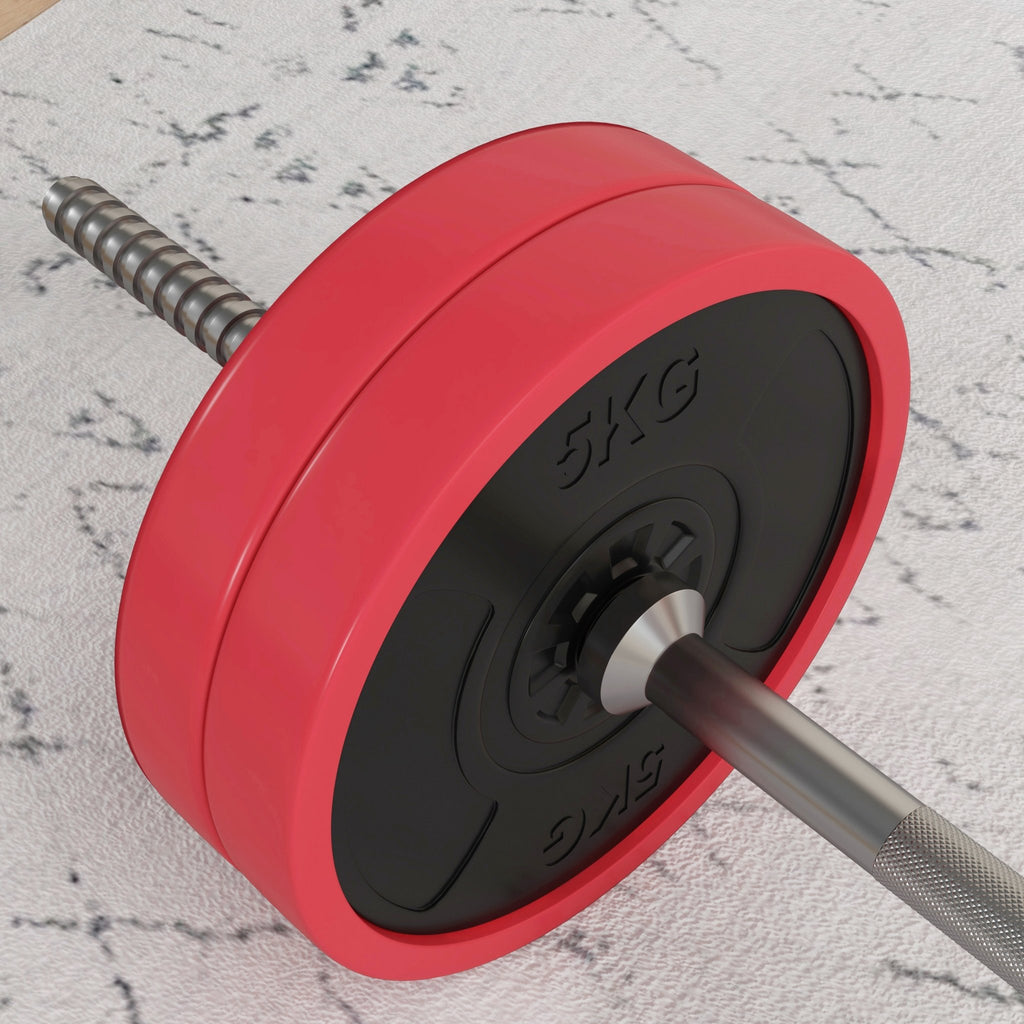 SPORTNOW Conjunto de Barra de Pesos 30 kg com Discos Conjunto de Musculação com 6 Discos e 1 Barra para Treino de Força Levantamento de Pesos em Casa Ginásio Escritório 170x26x26 cm Vermelho - A minha loja